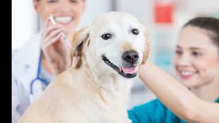 Petco and Non-Profit Petco Love Reinforce the Importance of Vaccinations as Part of Routine Pet Car