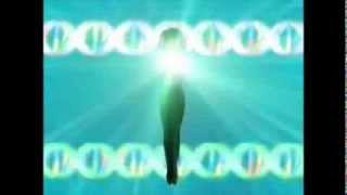 Mew Mew Lettuce And Zakuro