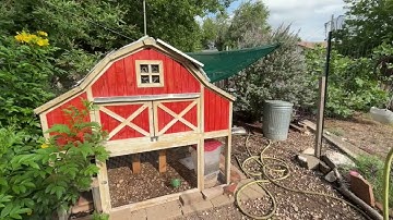 Why I Took The Bird Netting Down... And Why You Shouldn