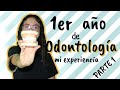 Mi experiencia en mi primer año de odontología pt.1