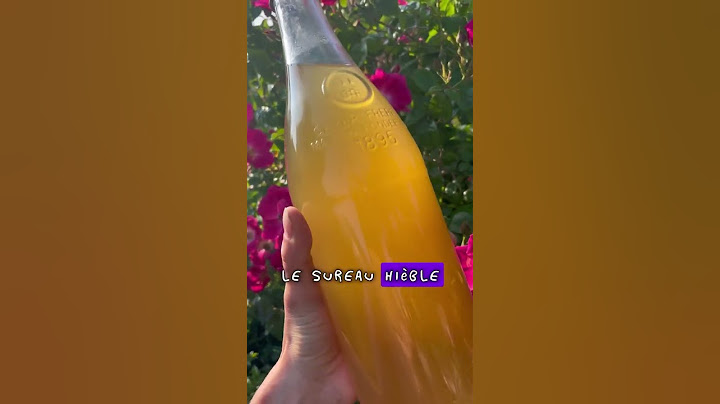 🦠🍹Ici la saison des fleurs de sureau et de leur parfum enivrant commence ! 🦠🍹