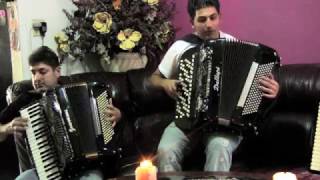 Balkan Accordion Resimi