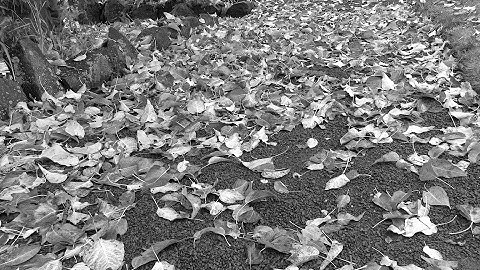 SUG Toronto: Sitecore Agile Context Marketing & Data Exchange Framework Deep Dive