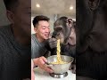 Giant Monkey Eating Spicy Noodles With Human 🍜🐵 | Funny AI Vlog
