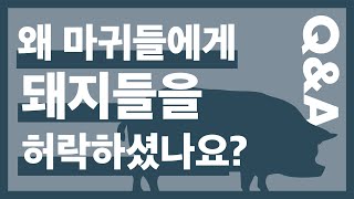 [Q&A] 마귀들이 돼지 떼 속으로 들어가는 것을 허락하신 게 이해되지 않아요