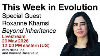 TWiEVO #126 Livestream 5/25/26 12:00 PM Eastern
Special guest Roxanne Khamsi, science writer and author of Beyond Inheritance, joins Nels and Vincent on a livestream episode of This Week in Evolution on Tuesday 26 May 2026 at 12:00 PM eastern.
Become a patron of TWiEVO at https://microbe.tv/contribute
——————————— OUR OTHER PODCASTS ———————————
•This Week in Parasitism https://bit.ly/3ndUNUZ
•This Week in Microbiology https://bit.ly/33tOUeO
•Urban Agriculture http://microbe.tv/urbanag
•This Week in Evolution https://bit.ly/3ne1bf5
•Immune https://bit.ly/2HOyCVb
•This Week in Neuroscience https://bit.ly/2So12Yd
– Who Am I? –
I’m Vincent Racaniello, Earth’s Virology Professor.
I’m also a professor of virology at Columbia University in New York. I’ve been doing research on viruses since 1976, and teaching virology in classrooms and online since 1999. On this YouTube channel I share videos of my lectures, podcasts, and more.
New videos are uploaded every Thursday and Sunday mornings.
I do not run ads on our work as it is disruptive to learning. We depend on your support.
If you would like to support our work, go over to https://www.microbe.tv/contribute/
———————————————————————
#microbe #viruses #coronavirus #pandemic
——————————————————————— TWiEVO #126 Livestream 5/25/26 12:00 PM Eastern