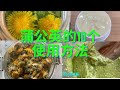 蒲公英的10种使用方法及在生态系统中的作用