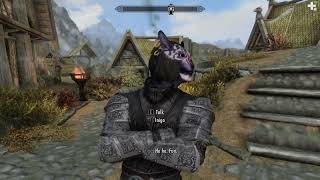 "Every Skyrim Player Love Mods Follower Because Of This..."