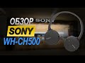 Обзор наушников SONY WH-CH500