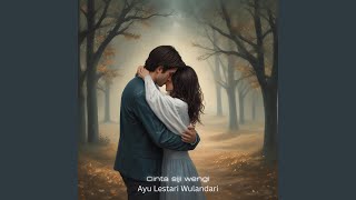 Cinta siji wengi