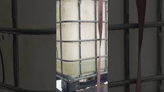 Celebrity Making Maple Syrup The First Boil Of The Year  Wealth