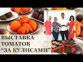 Уникально для Эстонии! Моя поездка в Таллин на выставку томатов Tomatipidu