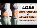 10 min love handles and lower belly fat workout standing only  no equipment