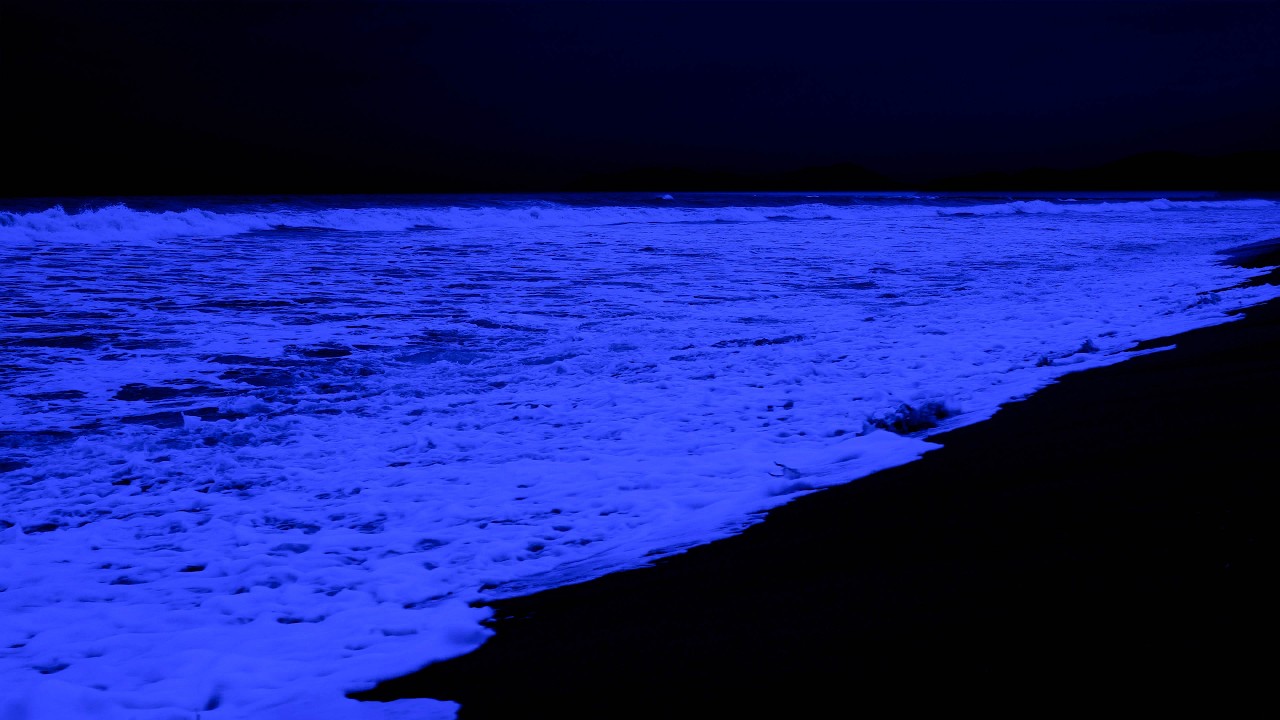 Снизьте умственную усталость — расслабляющий пляж помогает снять изнеможение и успокоиться.