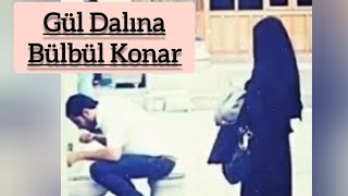 Gül Dalına Bülbül Konar İlahisi / Muhammed GÜNAYDIN Resimi