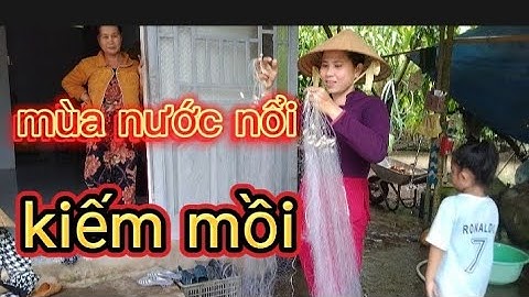GIĂNG LƯỚI MÙA NƯỚC NỔI,DÍNH TOÀN CÁ RÔ MỀ THẤY HAM, kênh Quang đồng Vlog