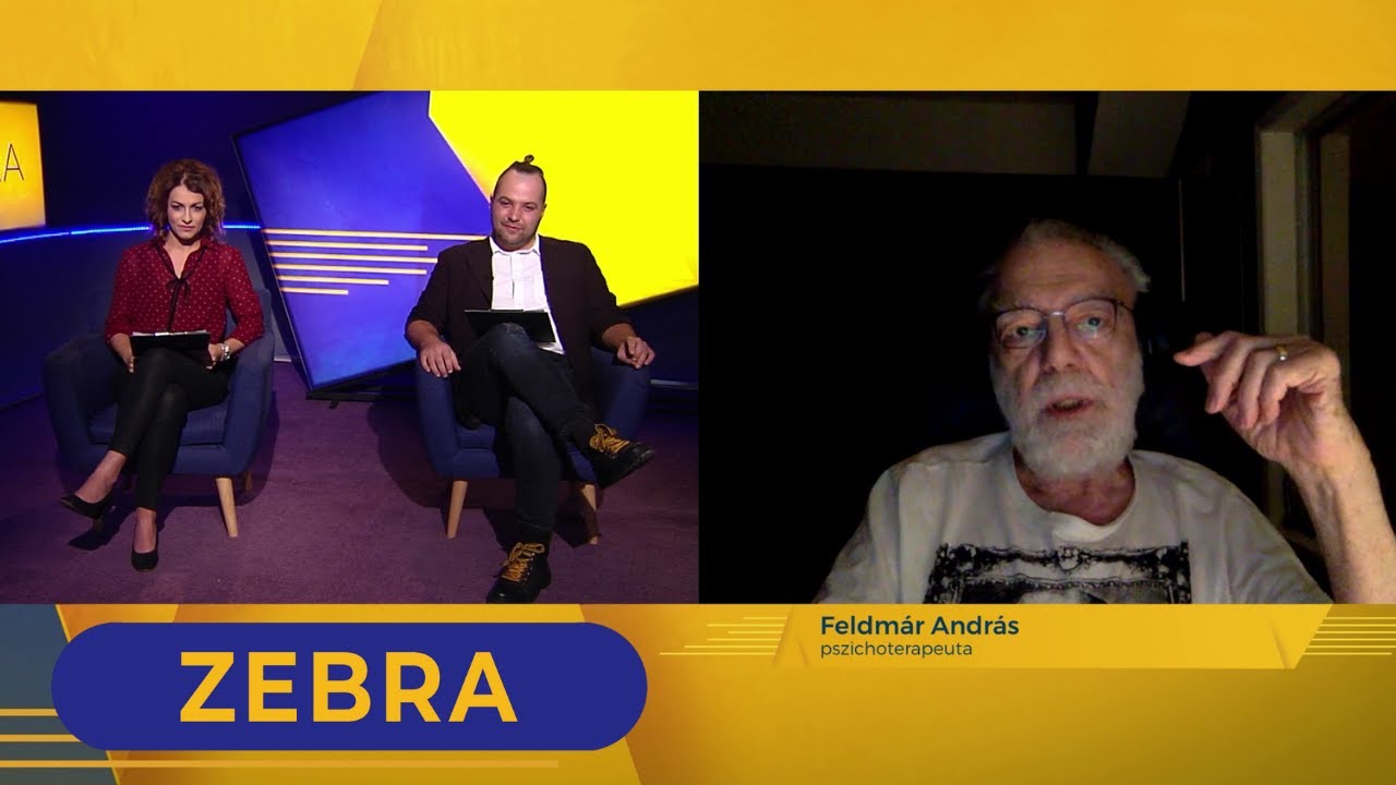 Zebra Feldmár András pszichoterapeutával