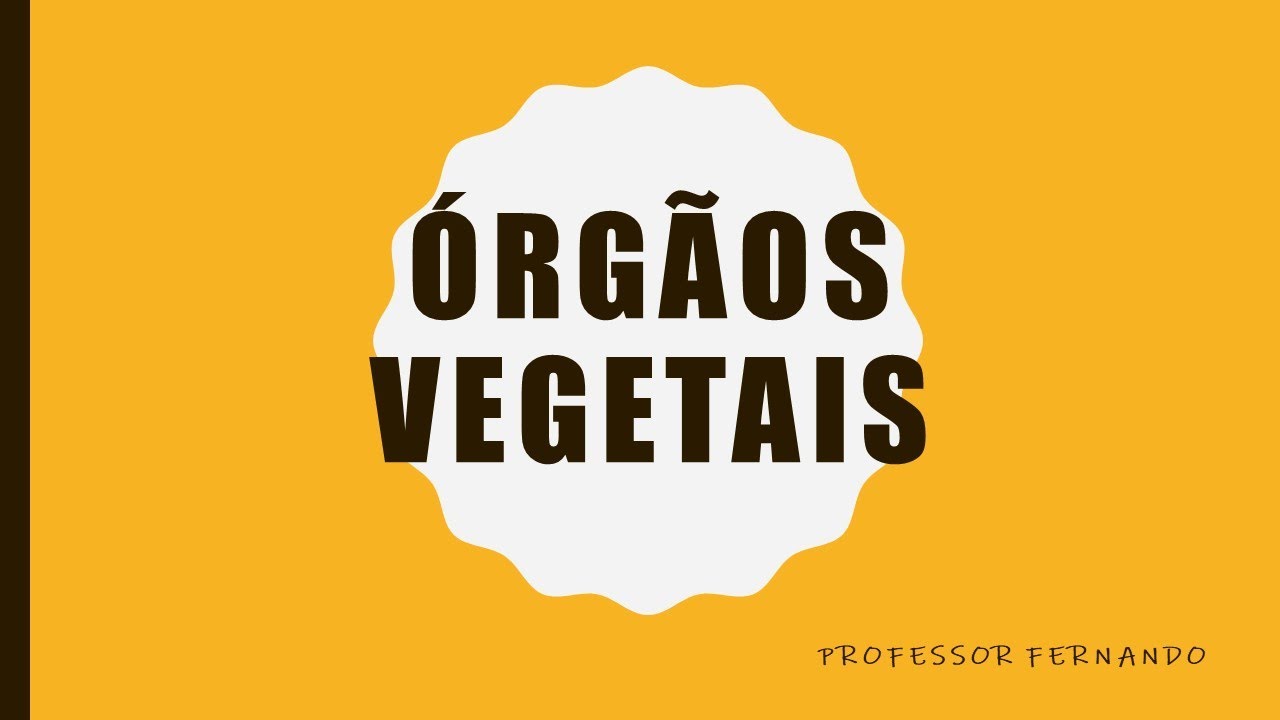 Aula - Órgãos Vegetais