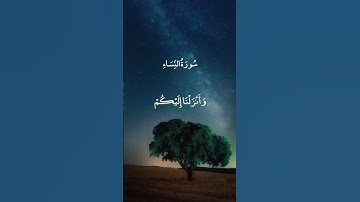 يَا أَيُّهَا النَّاسُ قَدْ جَاءَكُمْ بُرْهَانٌ || سورة النساء || علي جابر