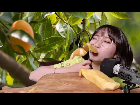 日本語ASMR マンゴーを食べながら状況劇 <strong>Mango</strong> Eating Sounds &amp;amp; Whispering Performed <strong>In</strong> Japanese