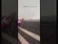 مافي من يسكن قلبي سواها تبقى ضلوعي سجنها الا نفرادي امي