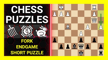 Chess Puzzles to Practice. Themes: Fork, Endgame, Short puzzle. Learn Chess