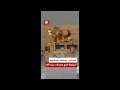 هل هي قادرة على ردع ألياف حزب الله إسرائيل تلجأ لمنظومة دفاع أميركية استخدمت ضد طائرات شاهد