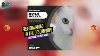 Cat Vibing To Ievan Polkka (Peter Kharma & LUTCH house remix) Cat Vibing To Music | Cat Vibing Meme