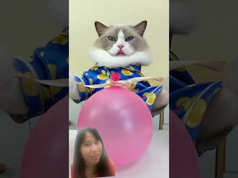 party decoration ideas!