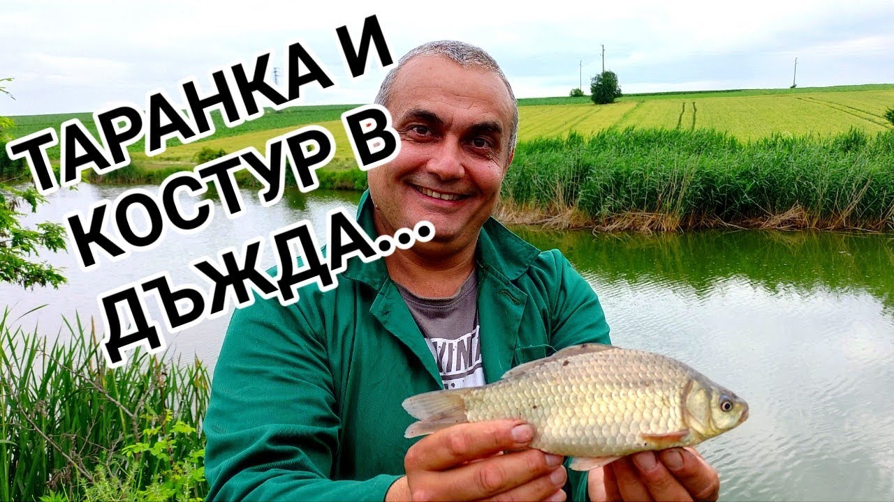 СПОРТЕН РИБОЛОВ НА КОСТУР И ТАРАНКА. ПРИВЕЧЕР НА БЯЛ ЧЕРВЕЙ! ДЪЖД, КАЛ, ЕМОЦИИ И МНОООГО РИБА!!!