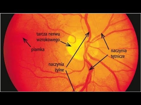 Badania w kierunku uszkodzenia narządów docelowych (cz. 3.)