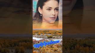 ad1234838a8179c7b1f5409fa4e814f71