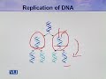 BIO731 Advanced Molecular Biology Lecture No 36