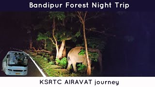 KSRTC AIRAVAT DRIVING THROUGH BANDIPUR FOREST IN NIGHT | ANIMAL SPOTTING