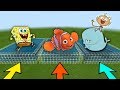 YANLIŞ HAVUZU SEÇME! 😱 (SüngerBob,Kayıp Balık Nemo,FlapJack) - Minecraft