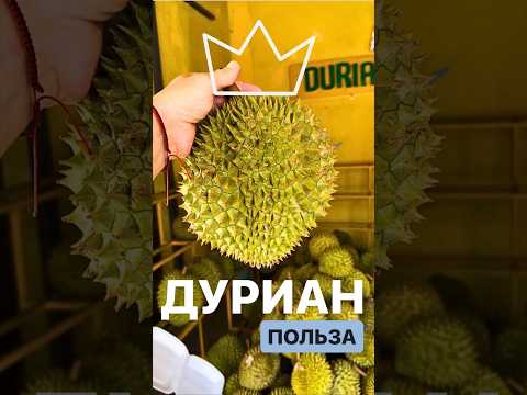 Польза дуриана | Дуриан | Durian | Король фруктов | Самый вонючий фрукт | Затерянные в путешествии