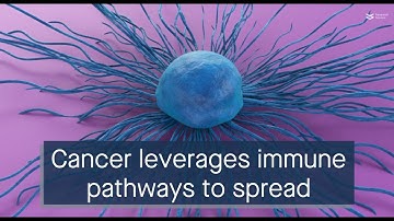 Beyond the barrier: the immune-inspired pathways of tumor extravasation