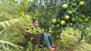 Poor girl. Harvest oranges and sell them at the market. Take care of corn plants and remove weeds