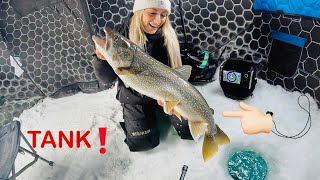 Catching GIANT Lake Trout at BAKERS NARROWS LODGE!