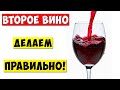 ВТОРОЕ ВИНО из ВИНОГРАДА / Как правильно сделать второе вино!