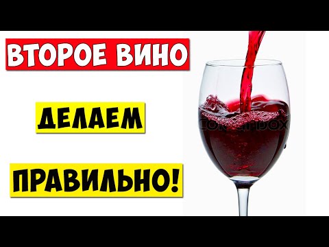 Как сделать вино из винограда в домашних условиях второе