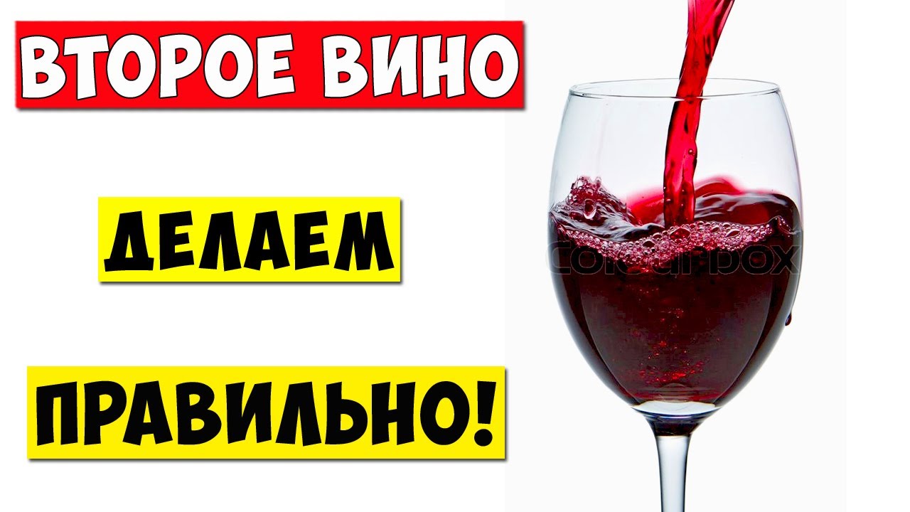 ВТОРОЕ ВИНО из ВИНОГРАДА / Как правильно сделать второе вино!