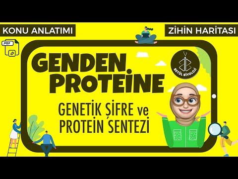 Genden Proteine #4 | Genetik Şifre ve Protein Sentezi| AYT Biyoloji | 12. Sınıf Biyoloji