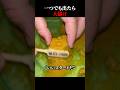 一つでも出たら大儲け