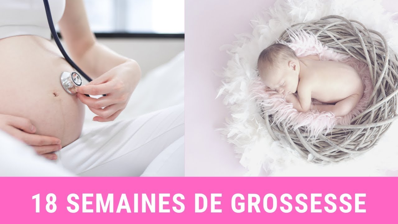 18 Semaines De Grossesse Ou Dix Huitieme Semaine De Grossesse Youtube