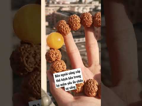 Video Sự ưu ái của tạo hoá - youtube