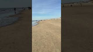 Zandvoort Beach Walk | North Sea Waves &amp; Coastal Vibes | Netherlands#beach #beachlife #northsea