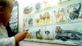 УЧИМ ЖИВОТНЫХ АФРИКИ. РАЗВИВАЮЩИЕ ЗАНЯТИЕ УЧИМ ЖИВОТНЫХ АФРИКИ. РАЗВИВАЮЩИЕ ЗАНЯТИЕ