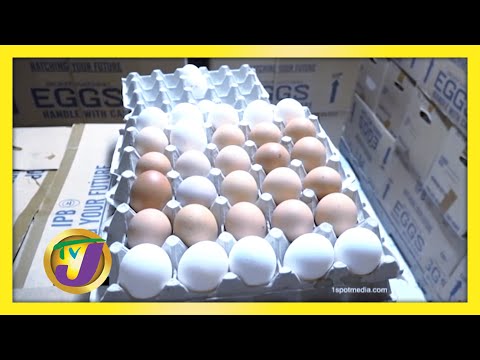 Calls for the Removal of GCT on Eggs in Jamaica | TVJ Business Day