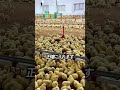 生まれてすぐビンタされる